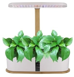 lluoqian idroponico Mini Lampada da Tavolo a LED for la Coltivazione di Coltivazione di Verdure/Fragole da Interno Senza Terra