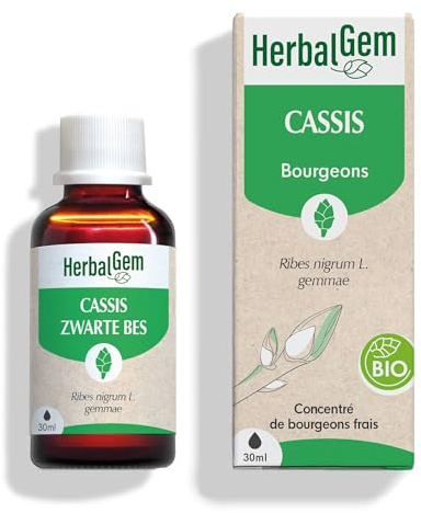 HERBALGEM - Macérât-Mère - Cassis Bio - Complément Alimentaire Gemmothérapie Concentrée - Extrait De Bourgeon Frais - Pour Articulations, Muscles - Vegan - 30 ml