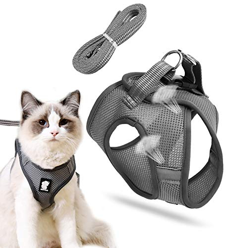 Katzenleine mit Geschirr für Katzen, Hundegeschirr, Cat Harness and Leash, Katzengeschirr für Kleine Katze, Outdoor Walking Set