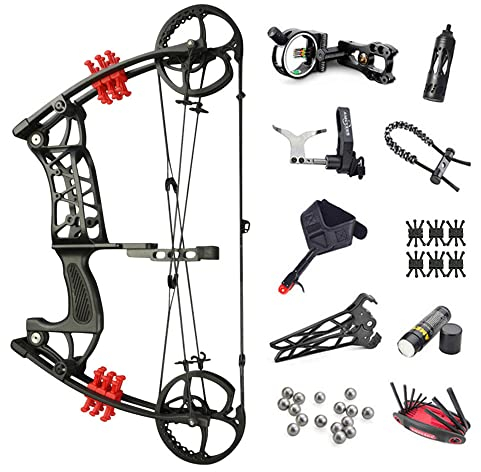 SHARROW Bogenschießen Compoundbogenset Dual-Zweck Katapult Stahlball Compound Bögen 30-55lbs Einstellbar Jagdbogen Compoundbogen Kit für Bogen Angeln Jagd (Typ 2)