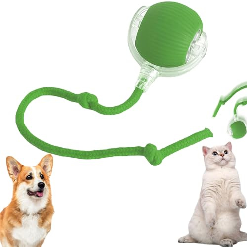 LAUFUY Chewie Rolling Ball, Elektrischer Hundeball Spielzeug, Chewie Chase Mate Katzenspielzeug, Interaktives Hundespielzeug Ball, Smart Automatisch Rollender Ball für Kleine,Mittlere Hunde (Grün)