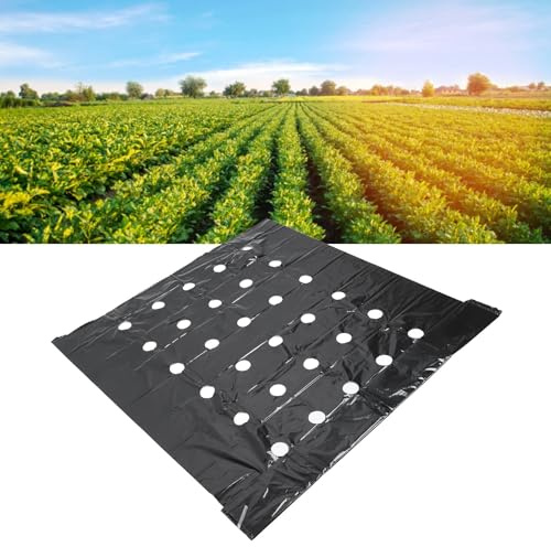 Cafopgrill Pacciamatura Perforata, Film Perforato Nero del PE delle Piante per Il Film Nero di Pacciamatura del Giardino Barriera del Vapore Rivestimento di Plastica Agricolo di Pacciamatura