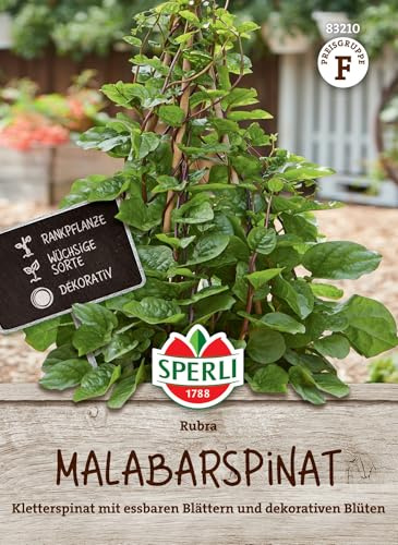 Sperli Malabarspinatsamen Rubra 83210, Gemüsesaat | Dekorative Blüten, Spinatsamen für Garten & Balkon, Gemüse-Anzucht, Samen für vitaminreiches Gemüse