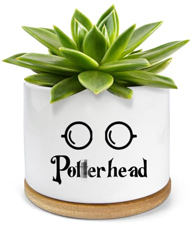 PWHINGN Funny Ceramic Succulent Planter Pots with Drainage Bamboo Tray, Office Windowsill Decor Indoor, Funny Plants Pots Desk Accessories for Plant Lovers Mom Friends Teacher (Not Plants)