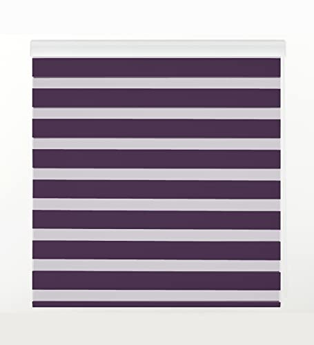 Zebra Textil SANSA Doppelrollo mit dekorativer Kassette, Polyester, Violett, 125 x 250 cm