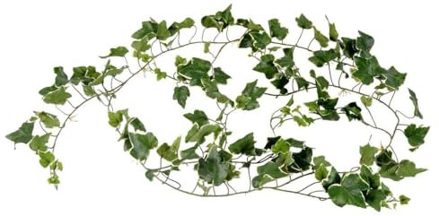 Artificielles.com - Guirlande de lierre anglais artificiel, anti-UV, L 200 cm Blanc-vert - couleur: Blanc-vert