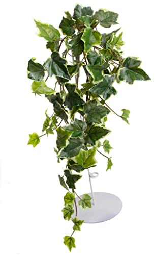 Botanic-Haus künstlicher Efeu Hängebusch, Kunstpflanze Holland Efeu ca. 50 cm lang, Farbe: grün-Creme