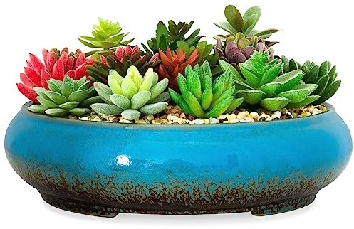 ARTKETTY Plant Pot - 29CM Large Bonsai Pot with Drainage Shallow Ceramic Succulent Plant Pot Indoor/Outdoor, Glazed Cactus Flower Plant Container Bowl for Home Garden Decor