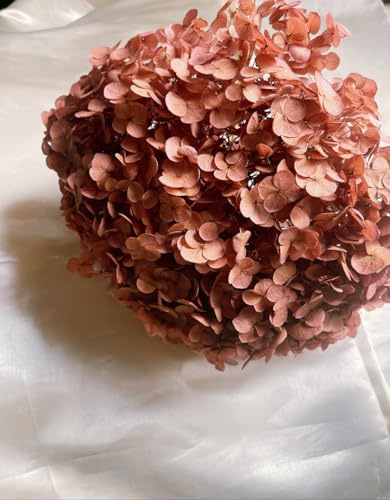 Preserved Hydrangea Burgundy Color, Hortensia Flores estabilizadas, Resin DIY Jewelry