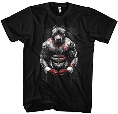 Boxing Bully T-Shirt | Kampfhund im Boxring mit roten MMA-Handschuhen – Muskelshirt mit Pitbull Motiv – Männer Shirt für Kampfsport & Szene | Schwarz (XXL)