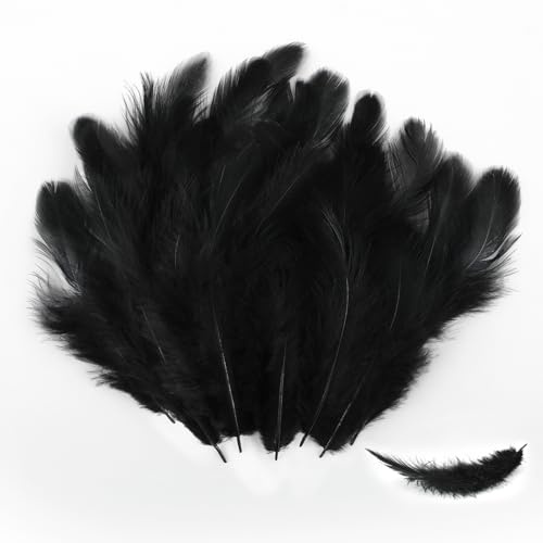 Federn, 200 Stück 7-12cm Federn zum Basteln, Natürliche Feder, Bastelfedern Set für Masken, Traumfänger, Ohrringe, Kunsthandwerk, Hochzeiten, Zuhause, Ostern, Erntedankfest und Halloween (Schwarz)