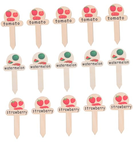 Toyvian 30pcs Wooden Plant Markers for Vegetable Garden Easy to Read Garden Labels for Watermelon Tomato Seedlings Natural for Outdoor Indoor Greenhouse Planting and Farm Organization