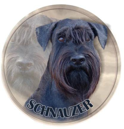GAETOYEN Autoaufkleber Lustig Hund 18Cm(7.08in) PVC-Aufkleber Schnauzer Hund Haustier Tier Autoaufkleber Für Stoßstange Heckscheibe Laptop Kühlschrank Toilette