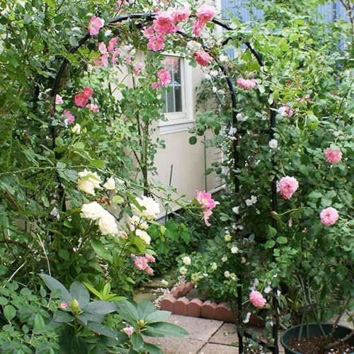 Arco da Giardino per Rose Rampicanti Metallo Arco Arco per Rose Romantico Arco di Nozze Padiglioni Larghezza 80-350cm Durevole(Width 286x high 220cm(112x86in))