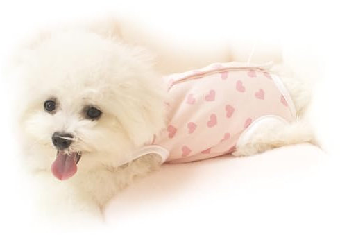 Teacup Dog Clothes, Puppy Cold Prevention Clothes, Stylish and Breathable for Spring and Autumn (Little Red Heart XL)
