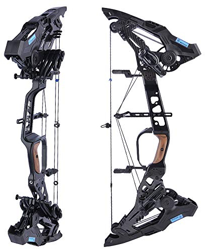 SHARROW Archery Compound Bow Kit Dual-purpose Pulley Compound Bow 21.5-60lbs, Bow and Arrow Set for Adults Outdoor Bow Hunting (Type 1)