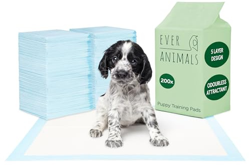 EVERANIMALS 200 Welpenunterlagen 60x60 cm - mit geruchsfreien Lockstoffen für spielend leichte Welpenerziehung, extra saugstarke Welpen Unterlage, auslaufsicher, 5-lagig