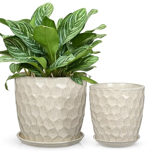 Arborus Set di fiori da 15 + 19 cm di diametro, vaso in ceramica con sottovaso e fori di drenaggio, bianco crema, per interni ed esterni, per piante, fiori, moderno, classico, elegante vaso decorativo