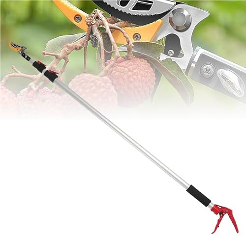 CXGFRGH Sierra de podar de Gran Alcance, Recolector de Frutas con Cabezal Cuchilla Giratorio, podadora pértiga Mango Extensible Aluminio Ligero for Cortar Ramas árboles 4 m(5m)