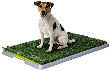 L'originale Potty Patch! Lettiera in erba sintetica per cuccioli - Antibatterico ed antiodore - per la pipi in casa dei cani fino a 7KG - 70 x 44 x 5 cm