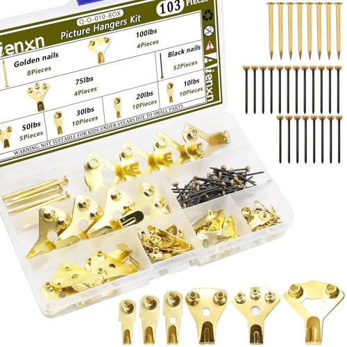 Aienxn 103PCS Heavy Duty Picture Hanging Kit Holds 10-100lbs, Picture Hangers with Nails, Professional Picture Hangers on Drywall/Wooden for Picture Frame, Office Pictures, Canvas, Clock