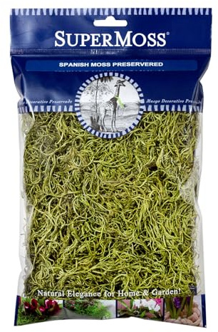 SuperMoss Spanish Preserved Swirly Moss, Chartreuse
