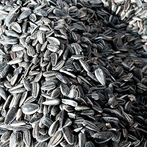 agrar-Store 25Kg Sonnenblumenkerne gestreift - Vogelfutter Wildvögel Garten Futter