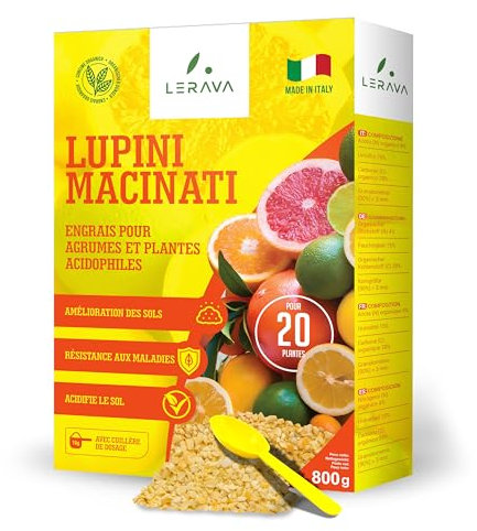 LERAVA® Lupini macinati (800 g) - concime limoni biologico - acidificante suoli naturale - azione rapida per agrumi - migliora resistenza e crescita delle piante mediterranee - Made in Italy