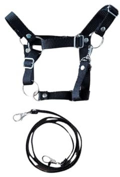 Einstellbare Schwarze Häuptchenkantenhalter für Horse Hobby-Accessoires, UNIVERSAL von A4 bis A3