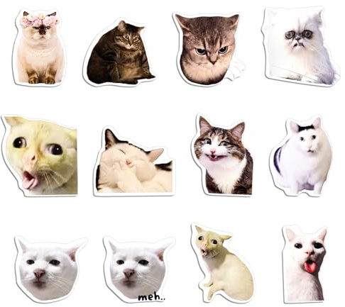 Cat Meme Kühlschrankmagnete,12 Stück Magnete Kühlschrank