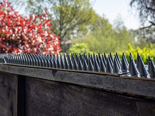 Prikkastrip Eco Fence Wall Spikes Garden Security. Anti-Climb Cat And Bird Deterrent Intruder Deterrent. Made In The UK Pigeon Spikes Pest Control For Gardens - Terracotta 40 Pack - 20M to 60M