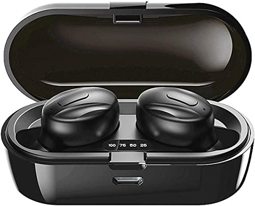 Xawy Bluetooth Headphones, Bluetooth 5.0 Wireless Earphones in Ear Stereo Sound Microphone Mini Wireless Earbuds with Headphones and Portable Charging Case for iOS Android PC XA-8