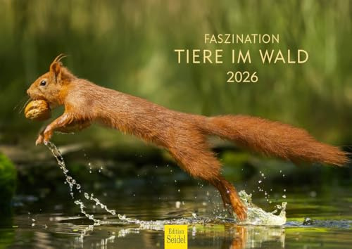 Edition Seidel Calendario premium fascinación animales en el bosque 2026 formato DIN A4 calendario de pared calendario animales del bosque vida natural