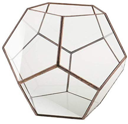 Tubayia Sukkulente Übertopf Zimmerpflanze Glasterrarium Glasshouse Blumentopf Glaskubus Terrarium Box Vasen