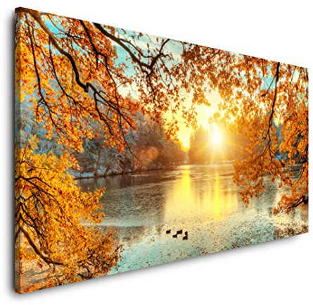 Paul Sinus Art schöne bunte Bäume 120x 60cm Panorama Leinwand Bild XXL Format Wandbilder Wohnzimmer Wohnung Deko Kunstdrucke
