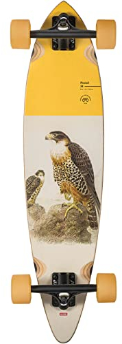 Globe Longboard Pintail 34 Falcon 34