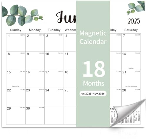 Kuraoyan Calendario magnetico 2025-2026 per frigorifero, calendario mensile da febbraio 2025 a luglio 2026, facile da organizzare, calendario strappabile (verde)