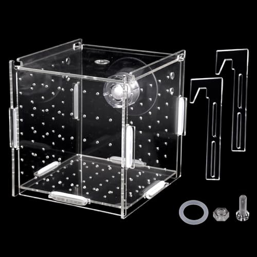 10×10×10cm Acryl Isolationsbox Aquarium, Transparent Fischzuchtbox Klein | Reptilien Fütterungsbox, Aquarienfisch Zuchtbox mit Luftlöcher, Acryl Brutkasten Tank mit Saugnäpfen, für Garnelen Guppy