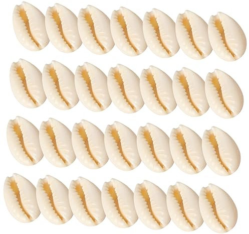 Homoyoyo 100stücke Muschelperlen Zum Basteln Natürliche Shell Perlen Für Diy Handwerk Schmuckdekor Und Heimdekoration Fein Verarbeitet Mit Toller Textur