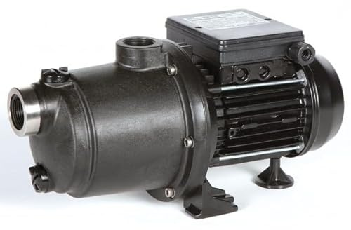 Sta rite Boost Rite Evo - 1 CV - Tri de Surpresseur Piscine