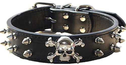 haoyueer Hundehalsband aus Leder mit Nieten, 2 Reihen Kugelnieten, PU-Leder – Cooles Totenkopf-Zubehör für mittelgroße und große Hunde (schwarz, M)