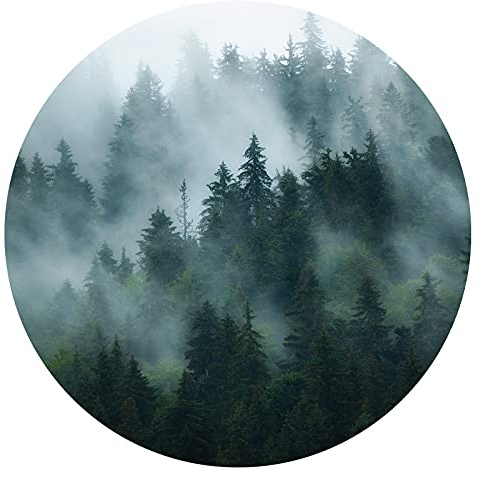 Grandora Wandtattoo Wandaufkleber Landschaft Natur Berge Wohnzimmer Wandsticker Wandbild Schlafzimmer Wanddeko Flur Esszimmer modern Tapete selbstklebend DL652-14