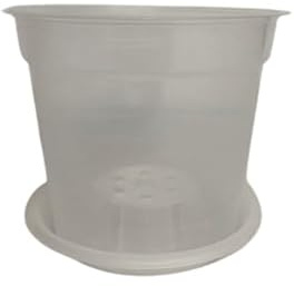The Flowerpot Men CLEAR / TRANSPARENT ORCHID POTS 15CM (x10 pots + x10 saucers)