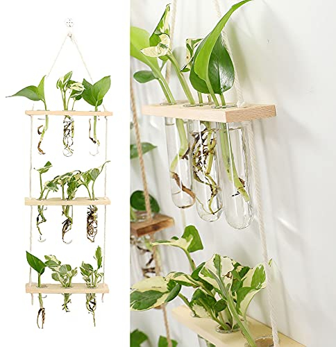 Vase, 3 Etagen, Reagenzglas, Wandmontage, Hydrokultur, Vase, Hängevase, Glasvase, Reagenzglas, mit Halterung aus Holz, für die meisten Stecklinge von Pflanzen (beige)