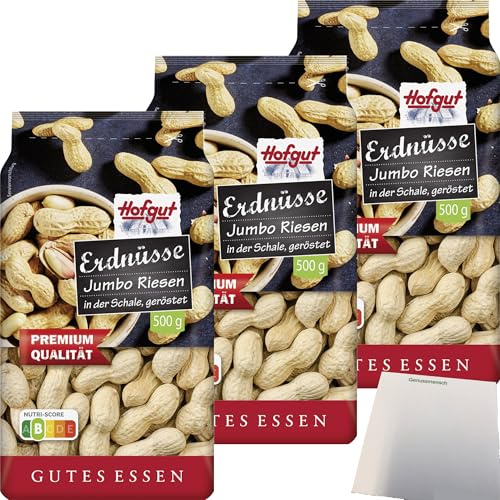 usy Bundle für Hofgut Erdnüsse in Schale 3er Pack (3x500g Beutel) + usy Block