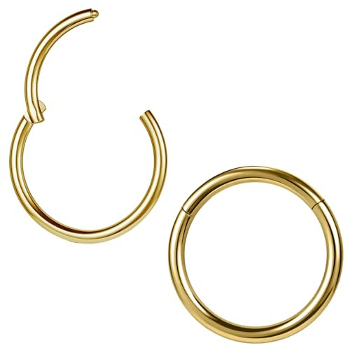 ZS 2 Stück ASTM F136 Titan 6/7/8/9/10/12/14mm Knorpel Tragus Helix Ohrring Hoop 20G 18G 16G Lippenringe Nasenringe Septum Conch Piercings Schmuck (16g/Gold/14mm)