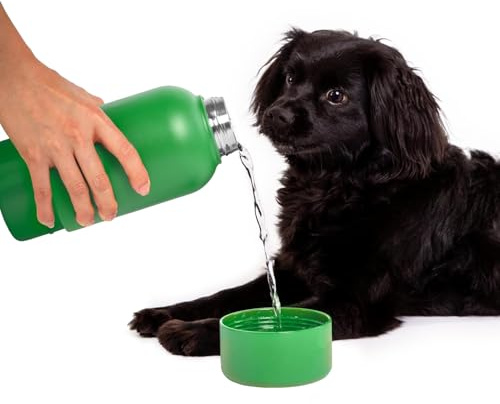 Ubbi Borraccia termica portatile in acciaio inox da 907 ml, per cani e proprietari con ciotola per cani attaccata, verde
