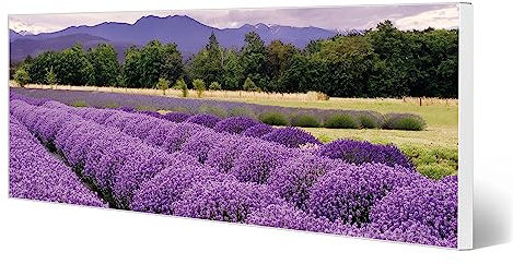 banjado Magnettafel Metall 75 x 30cm - beschreibbare Magnettafel - Metall Pinnwand als Memoboard - Magnetwand Küche, Büro, Kinderzimmer Weiß inkl. 4 Magnete & Montageset - Motiv Lavendel 1