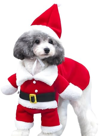 DELIFUR Haustier Weihnachtskostüme Hundeanzug mit Mütze Weihnachtsmann Anzug Hunde Hoodies Katze Weihnachtskostüme Partyanzug Warm im Winter (Rot,S)