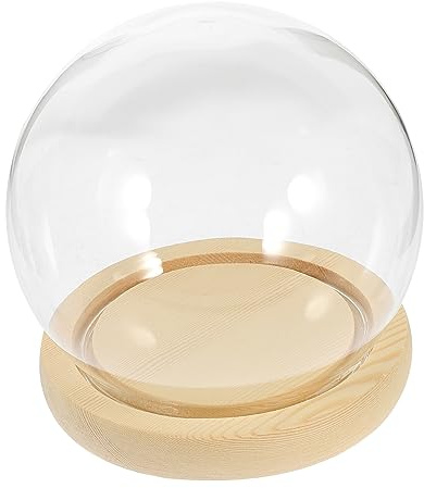 Ciieeo en Verre avec Base pour Plantes Artificielles Souvenirs Figurines Décoration Intérieure Et Ambiance De Pièce